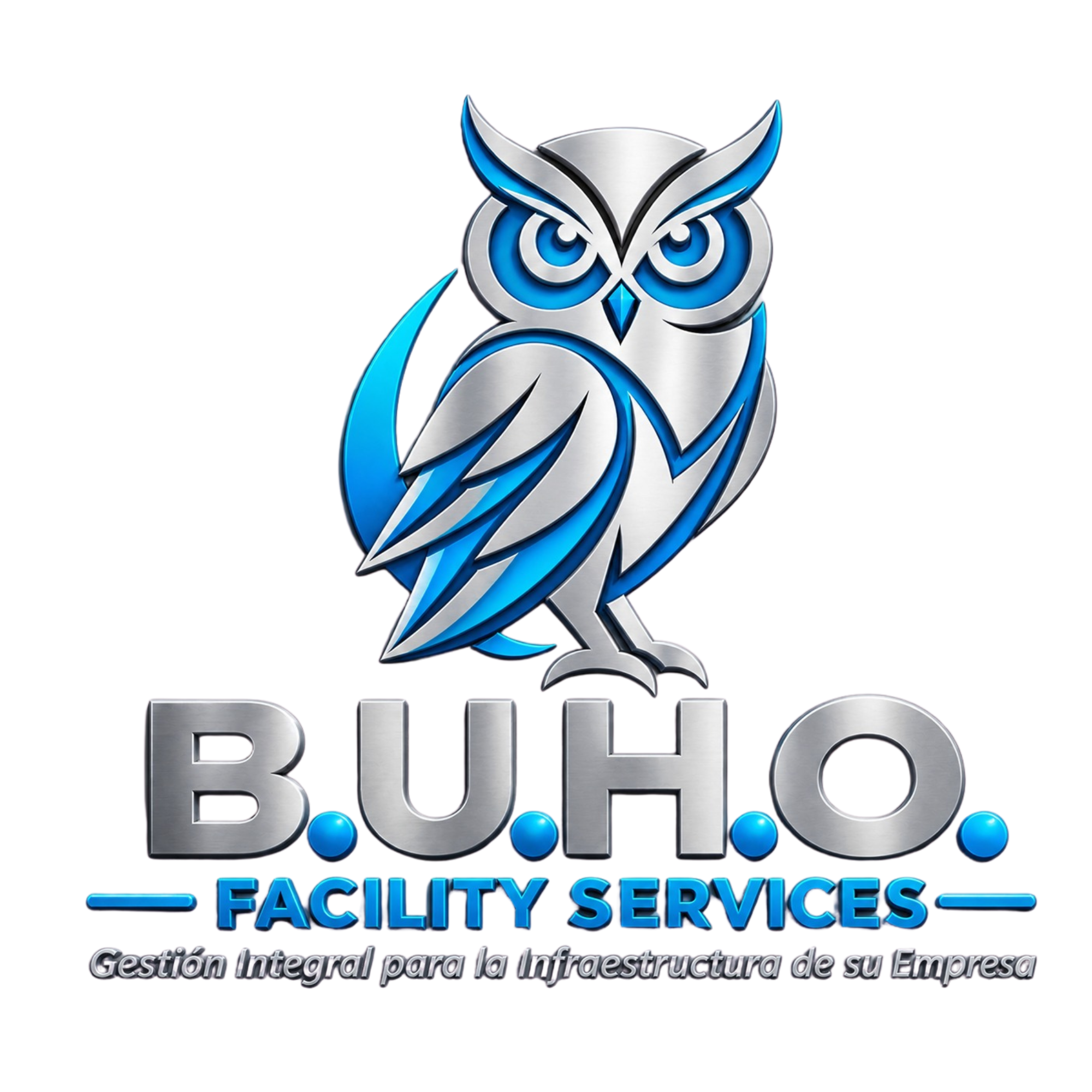 buhocleaning.com — Cleaning Services